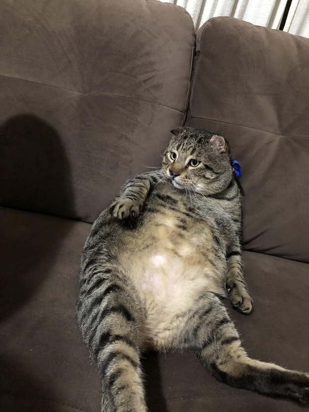 Wheres my beer