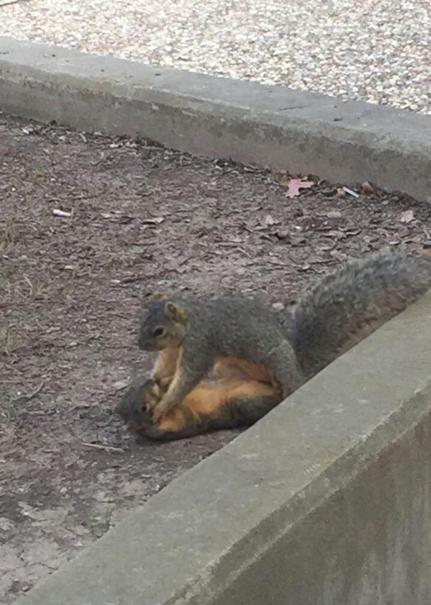 Wheres my nuts  Jimmy its been three months 