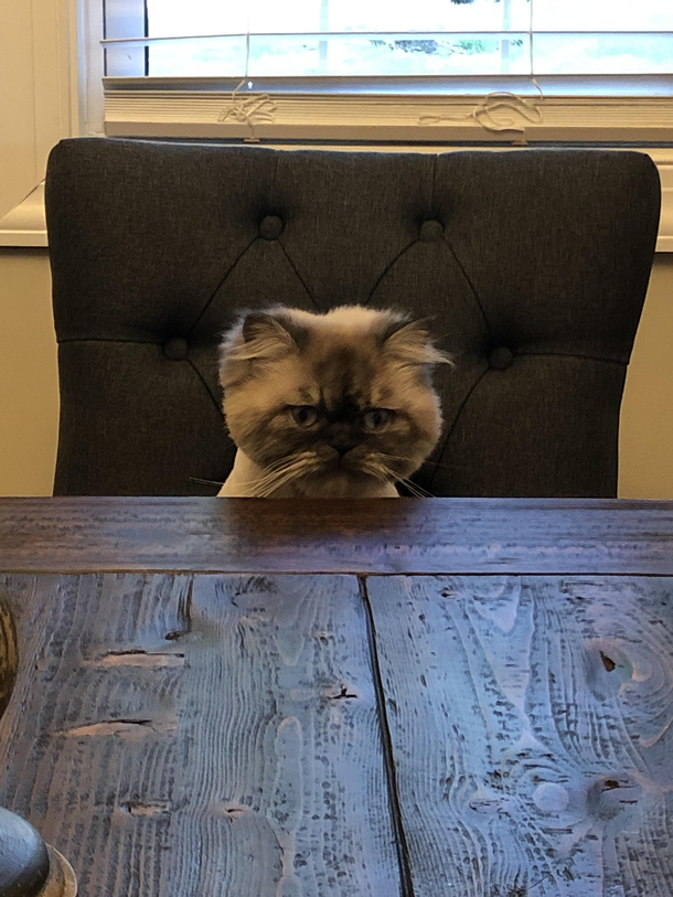 Wheres my steak Karen