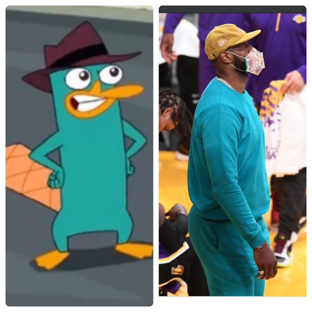 Wheres Perry