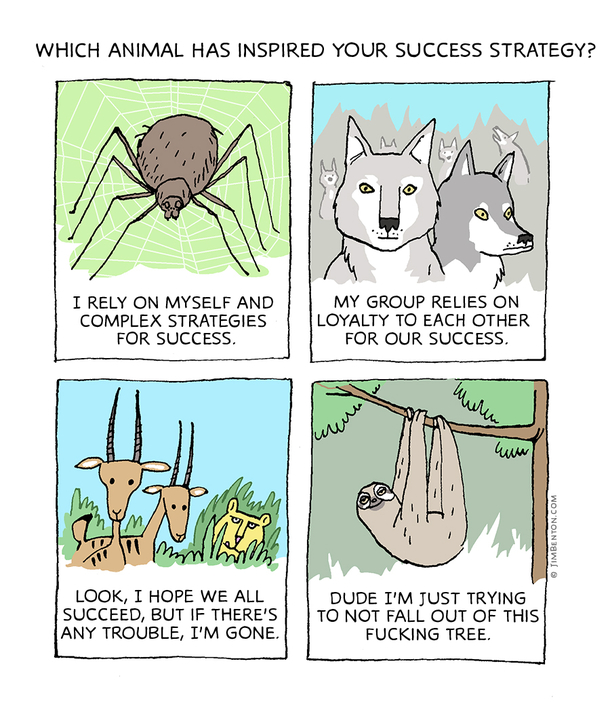 which animal