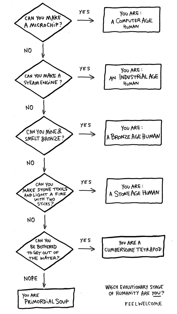 Which evolutionary stage of humanity are you 