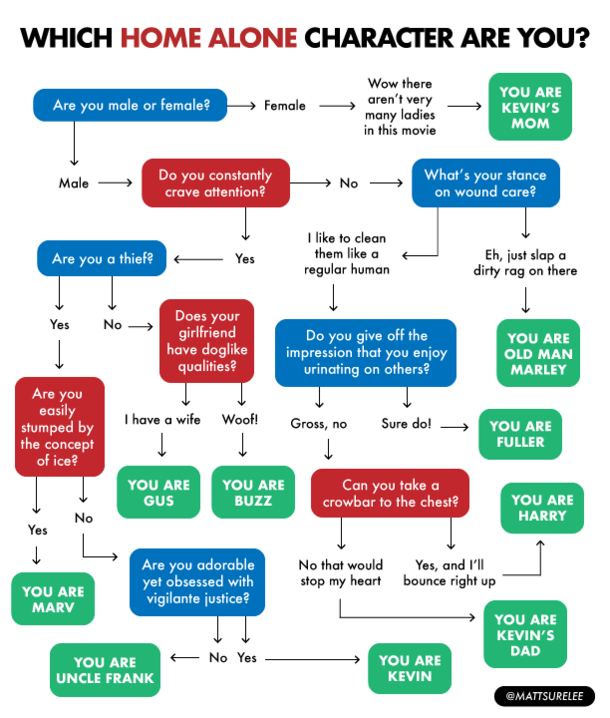 Which Home Alone character are you