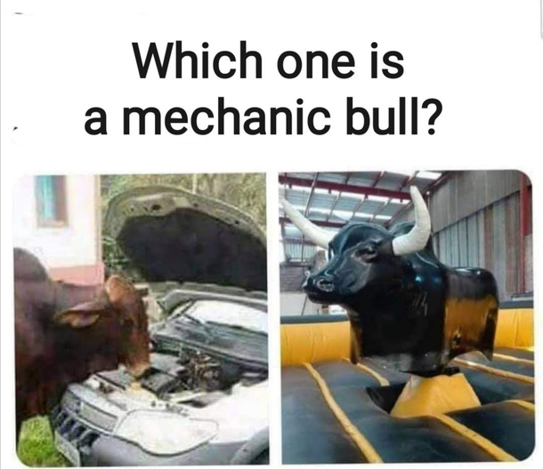 Which one