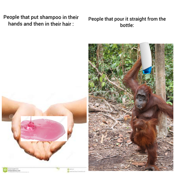 Which one are you