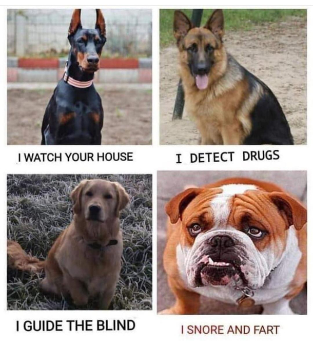 Which one would you chose