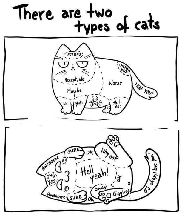 Which one your