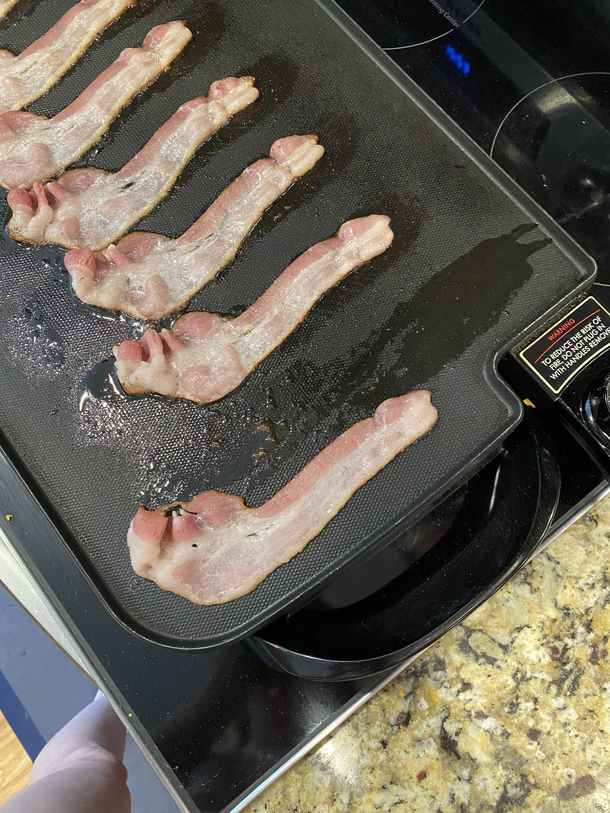 Which part of the pig does bacon come from again 