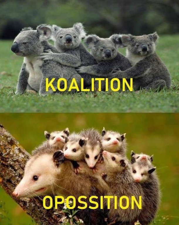 Which side are you I prefer Koalition