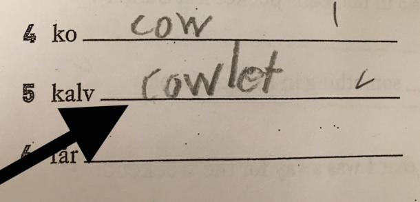 While grading tests I discovered that a baby cow is called a