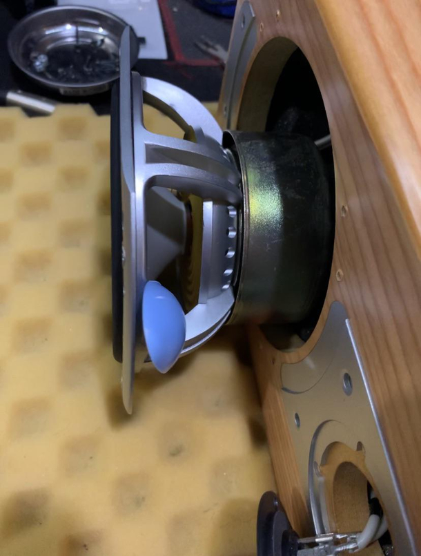 While testing speakers I thought the right side woofer was blow The cone looked fine so opened it up to double check and well someone put a plastic spoon in it