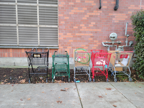 While waiting for the bus I stumbled onto Sams Hot Shopping Cart Lot