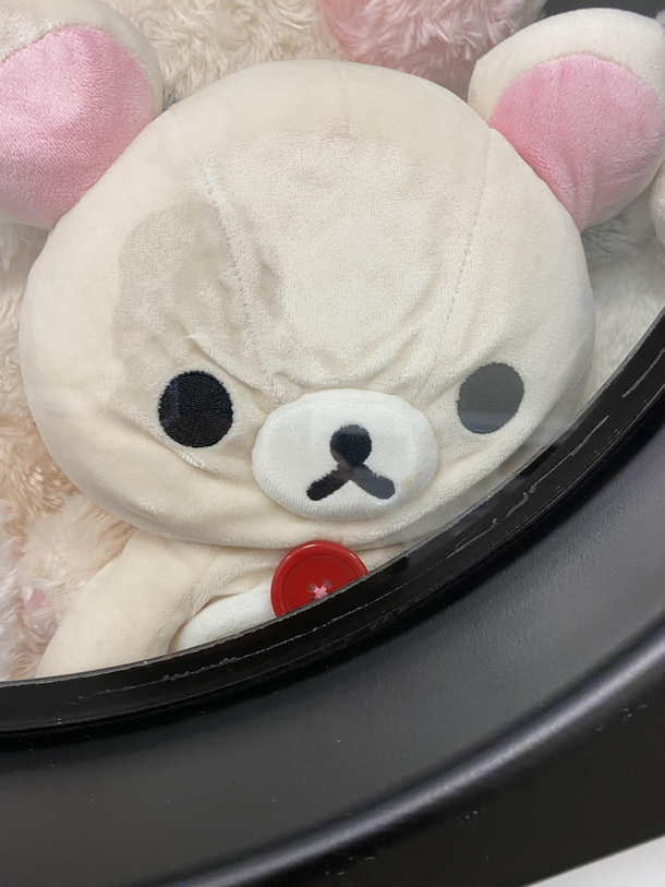 White bear has never felt such anger before