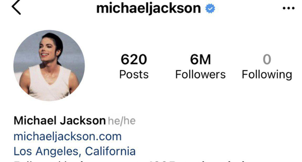 Who changed Michael Jacksons pronouns on ig to hehe