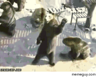 Who do I have to maul to get a drink around here