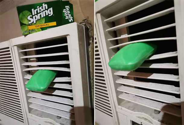 WHO DOESNT LOVE THE SMELL OF IRISH SPRING