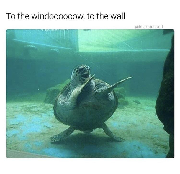 who else sang this