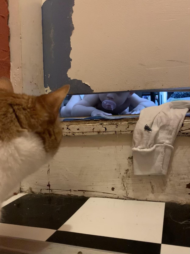 Who goes there