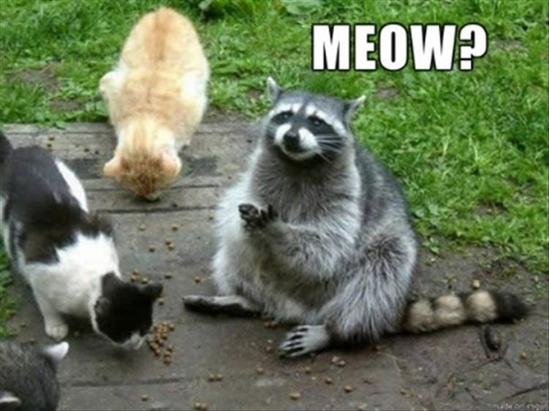 Who is this diabolical master of disguise
