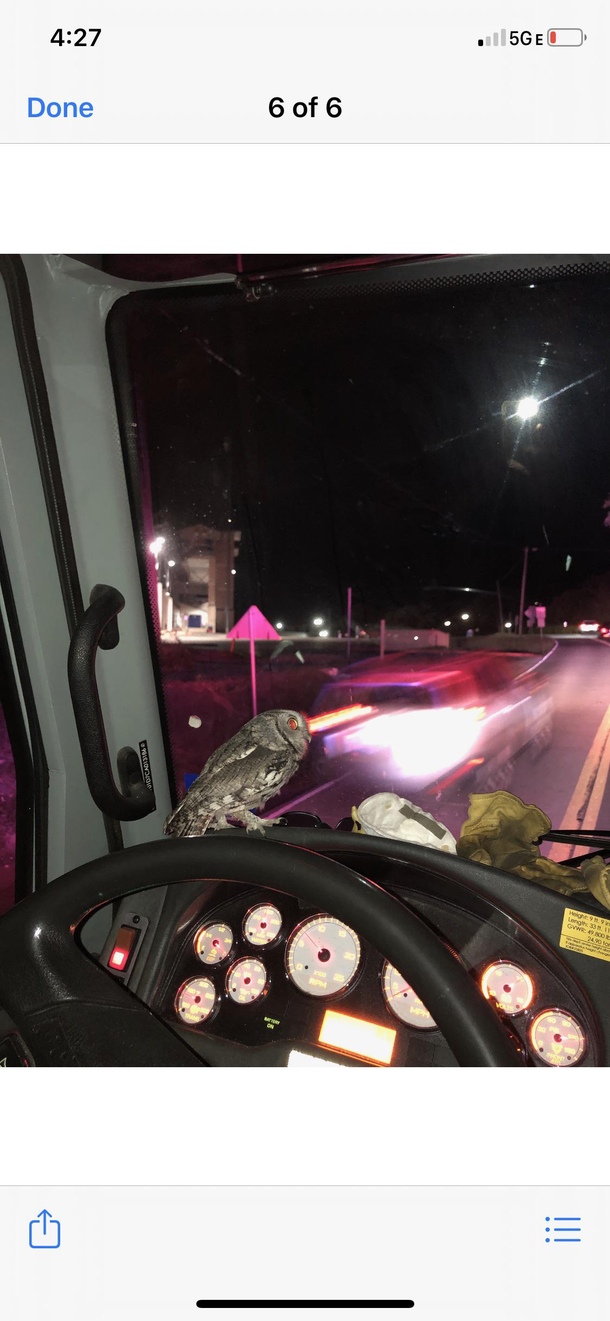 Who is this ride along partner in the fire truck