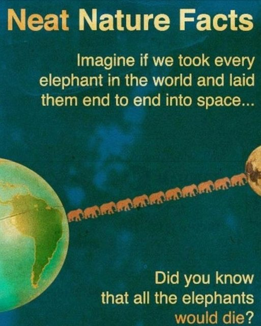 Who knew