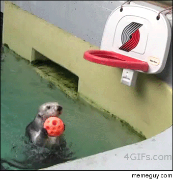Who said otters cant jump