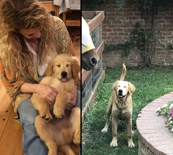 Who tf has been dealing to my dog