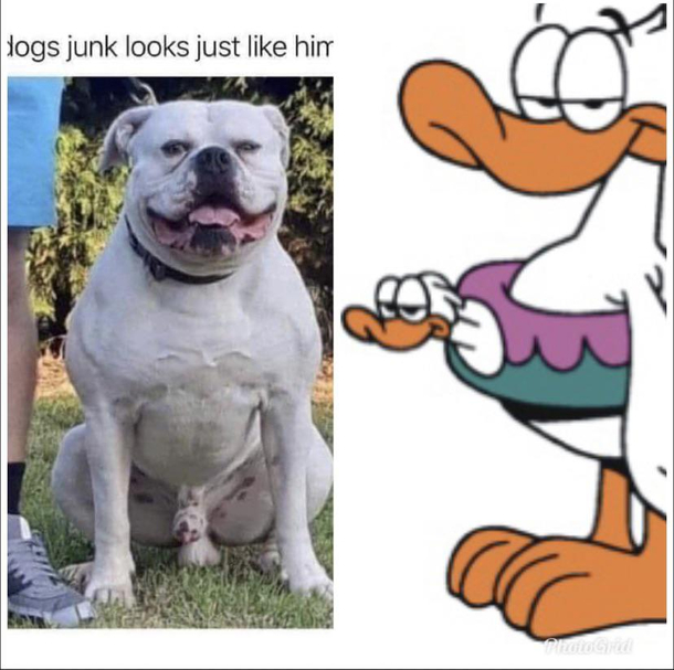 Who Wore It Best