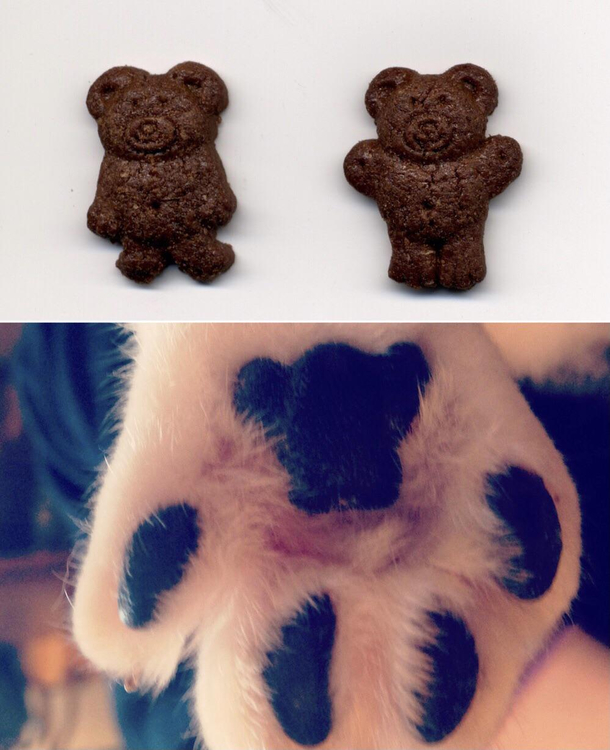 Who wore it better
