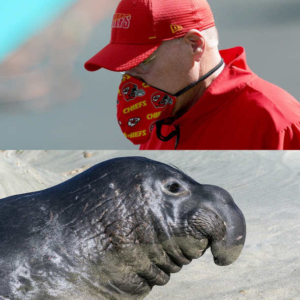 Who wore it better