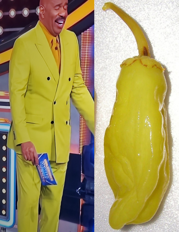 Who wore it better