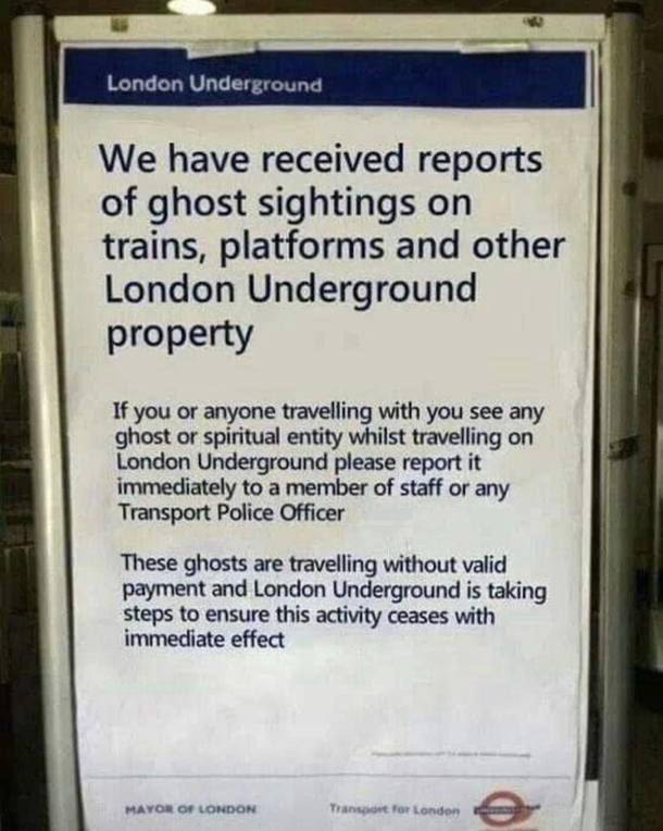 Who you gonna call