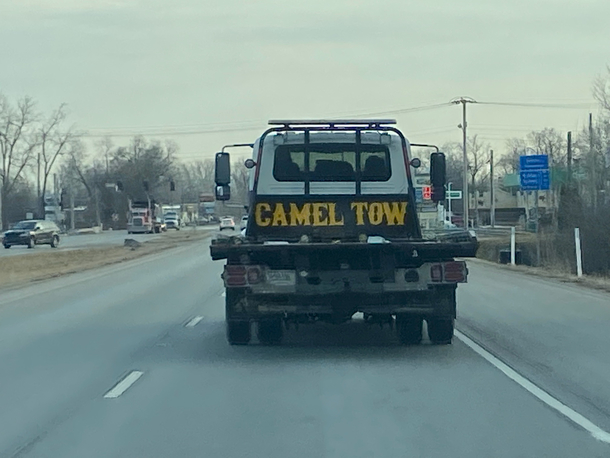 Who you gonna call