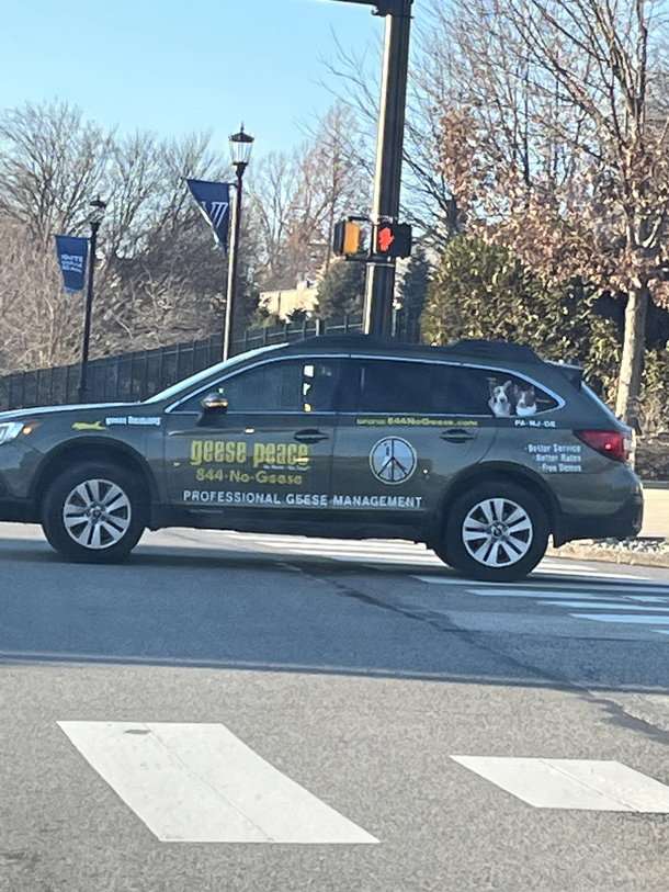 Who you gonna call