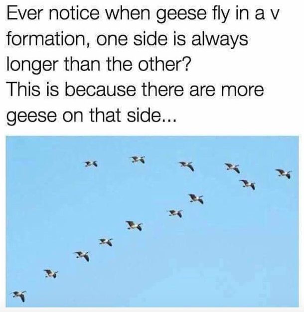 whoda thought
