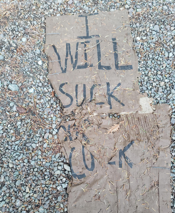 Whoever picked this person up