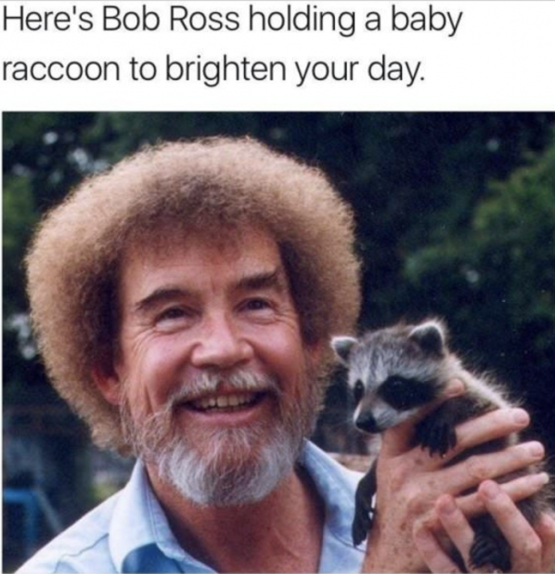 Wholesome 