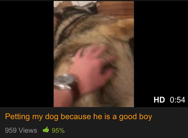Wholesome account