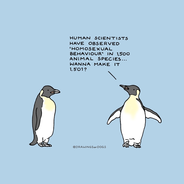 hhgggjj - Socially Awesome Penguin