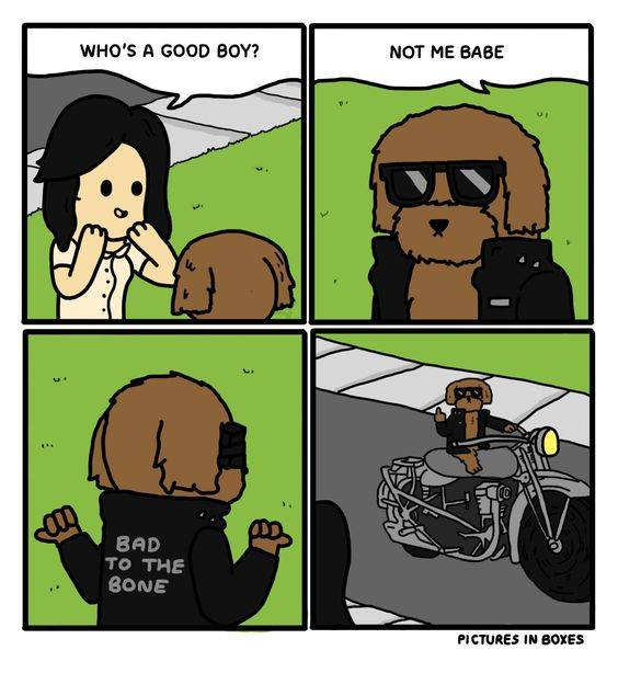 Whos a Good Boy