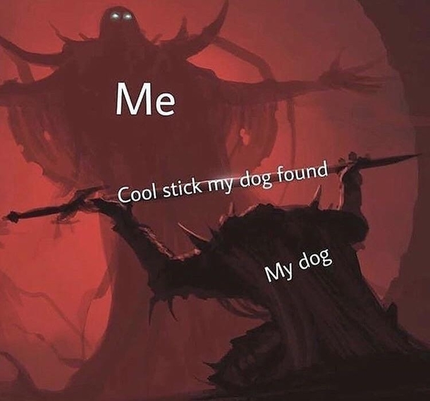Whos a good dooog