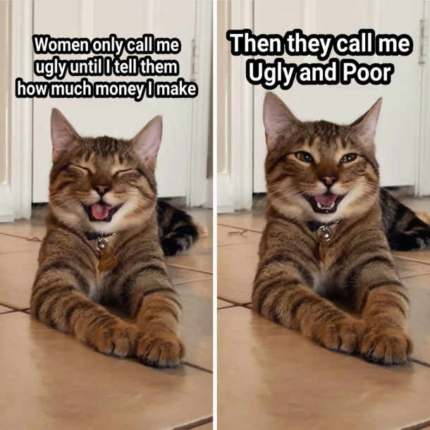 Whos laughing meow