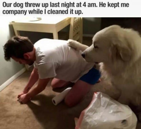 whos still good boy even when he ralphs on the carpet