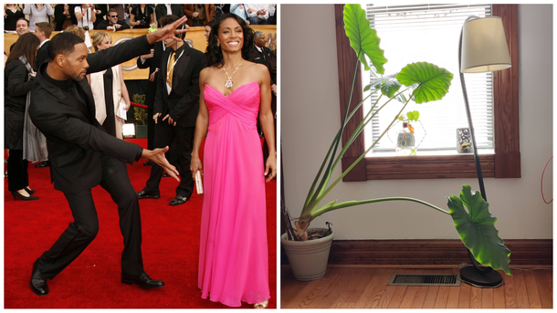 Whos the better couple