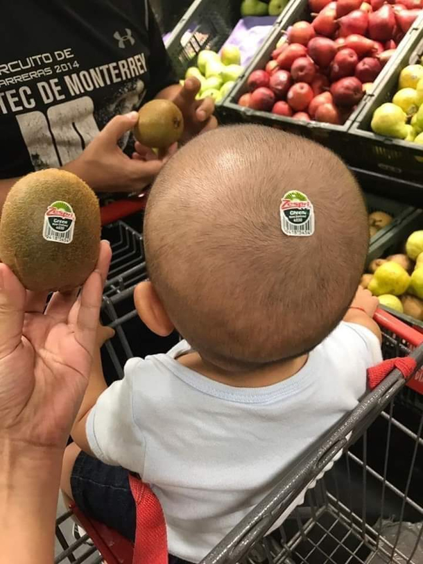 Why am I looking at a picture of two kiwis