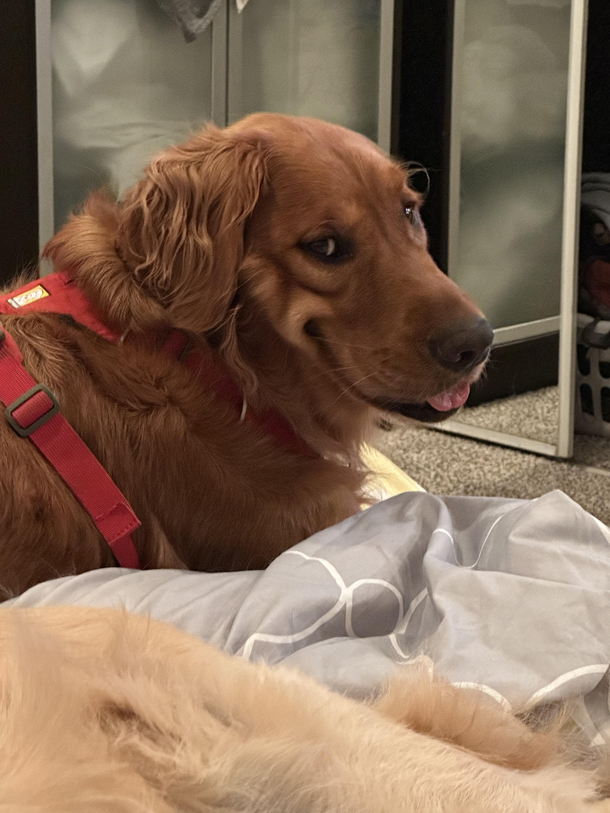 Why are you looking at me like that