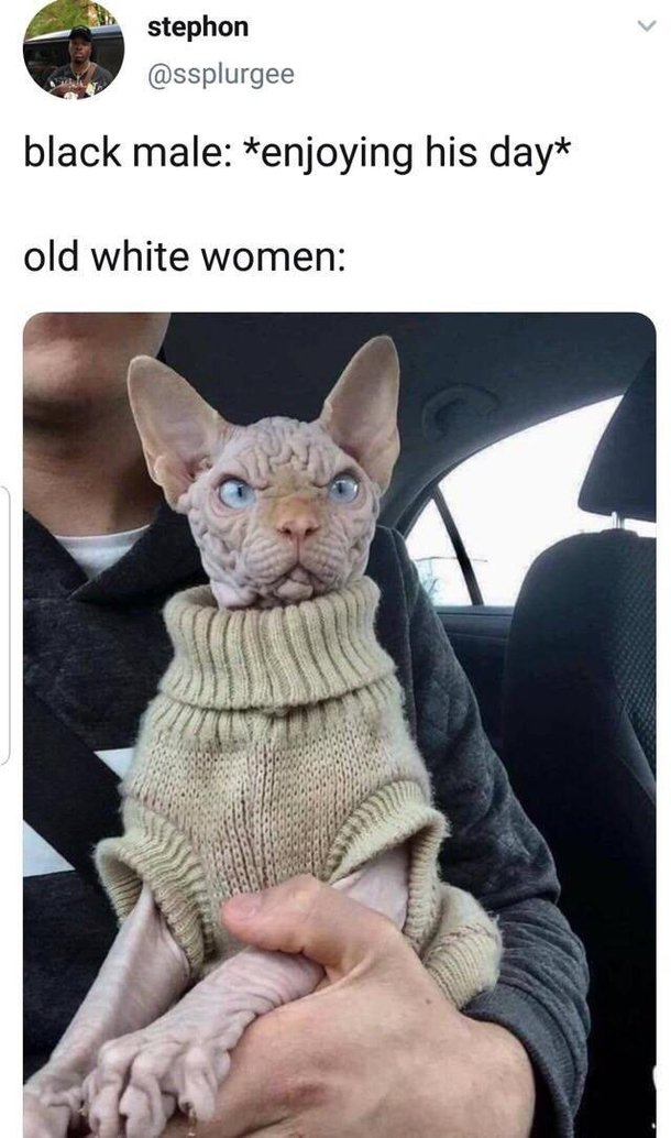 WhY arE yOu OuT HeRE ThiS TimE oF DaY
