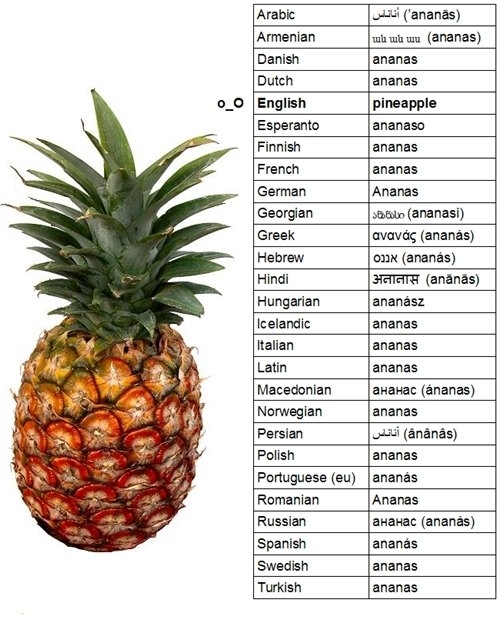 Why are you so weird English