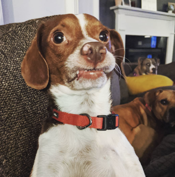 Why are you the way that you are