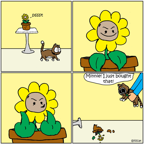Why cats hate plants
